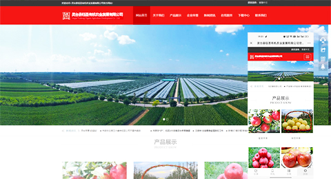 企業網站、程序軟件App解決方案